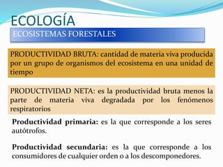 ECOLOGÍA
ECOSISTEMAS FORESTALES
PRODUCTIVIDAD BRUTA: cantidad de materia viva producida
por un grupo de organismos del ecosistema en una unidad de
tiempo
PRODUCTIVIDAD NETA: es la productividad bruta menos la
parte de materia viva degradada por los fenómenos
respiratorios
Productividad primaria: es la que corresponde a los seres
autótrofos.
Productividad secundaria: es la que corresponde a los
consumidores de cualquier orden o a los descomponedores.
 