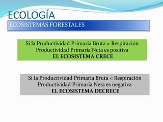 ECOLOGÍA
ECOSISTEMAS FORESTALES
Si la Productividad Primaria Bruta > Respiración
Productividad Primaria Neta es positiva
EL ECOSISTEMA CRECE
Si la Productividad Primaria Bruta < Respiración
Productividad Primaria Neta es negativa
EL ECOSISTEMA DECRECE
 