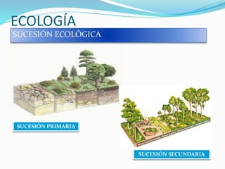 ECOLOGÍA
SUCESIÓN ECOLÓGICA
SUCESIÓN PRIMARIA
SUCESIÓN SECUNDARIA
 