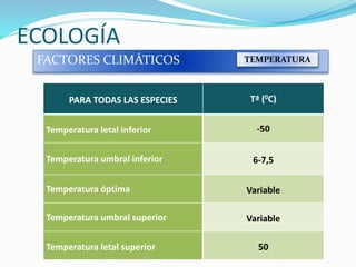 ECOLOGÍA
FACTORES CLIMÁTICOS
PARA TODAS LAS ESPECIES Tª (0C)
Temperatura letal inferior -50
Temperatura umbral inferior 6-7,5
Temperatura óptima Variable
Temperatura umbral superior Variable
Temperatura letal superior 50
TEMPERATURA
 
