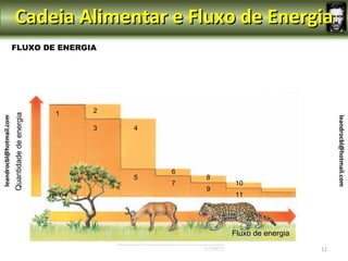 Cadeia Alimentar e Fluxo de Energia
                         FLUXO DE ENERGIA




                                                 1   2
                         Quantidade de energia
leandrocbl@hotmail.com




                                                                                             leandrocbl@hotmail.com
                                                     3   4




                                                             6
                                                         5       8
                                                             7       10
                                                                 9
                                                                     11




                                                                     Fluxo de energia
                                                                                        11
 
