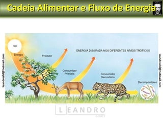 Cadeia Alimentar e Fluxo de Energia
leandrocbl@hotmail.com




                                                               leandrocbl@hotmail.com
 