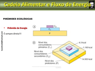 Cadeia Alimentar e Fluxo de Energia

                         PIRÂMIDES ECOLÓGICAS



                         •   Pirâmide de Energia
leandrocbl@hotmail.com




                                                               leandrocbl@hotmail.com
                         É sempre direta!!!
 
