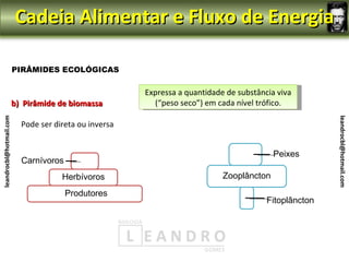 Cadeia Alimentar e Fluxo de Energia

                         PIRÂMIDES ECOLÓGICAS

                                                        Expressa a quantidade de substância viva
                         b) Pirâmide de biomassa          (“peso seco”) em cada nível trófico.
leandrocbl@hotmail.com




                                                                                                        leandrocbl@hotmail.com
                           Pode ser direta ou inversa


                                                                                           Peixes
                           Carnívoros
                                      Herbívoros                             Zooplâncton

                                        Produtores
                                                                                         Fitoplâncton
 