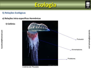 Ecologia
                5) Relações Ecológicas

                a) Relações Intra-específicas Harmônicas

                         I) Colônia:
leandrocbl@hotmail.com




                                                            leandrocbl@hotmail.com
 
