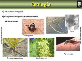 Ecologia
                5) Relações Ecológicas

                b) Relações Interespecíficas desarmônicas

                         III) Parasitismo
leandrocbl@hotmail.com




                                                                                  leandrocbl@hotmail.com
                                                                     Pernilongo

                           Erva-de-passarinho          Cipó chumbo
 