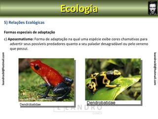 Ecologia
                5) Relações Ecológicas

                Formas especiais de adaptação
                c) Aposematismo: Forma de adaptação na qual uma espécie exibe cores chamativas para
                    advertir seus possíveis predadores quanto a seu paladar desagradável ou pelo veneno
                    que possui.
leandrocbl@hotmail.com




                                                                                                          leandrocbl@hotmail.com
 