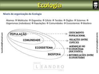 Ecologia
                         Níveis de organização da Ecologia

                           Átomos  Moléculas  Organelas  Célula  Tecidos  Órgãos  Sistemas 
                           Organismos (indivíduos)  Populações  Comunidades  Ecossistemas  Biosfera
leandrocbl@hotmail.com




                                                                                                          leandrocbl@hotmail.com
 