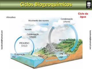 Ciclos Biogeoquímicos
                                                 Ciclo da
                                                  água
leandrocbl@hotmail.com




                                                            leandrocbl@hotmail.com
 