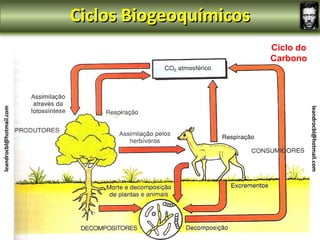 Ciclos Biogeoquímicos
                                                 Ciclo do
                                                 Carbono
leandrocbl@hotmail.com




                                                            leandrocbl@hotmail.com
 
