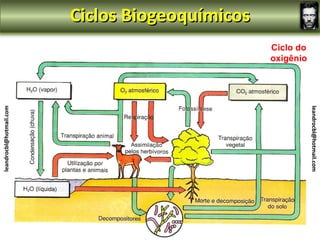 Ciclos Biogeoquímicos
                                                 Ciclo do
                                                 oxigênio
leandrocbl@hotmail.com




                                                            leandrocbl@hotmail.com
 