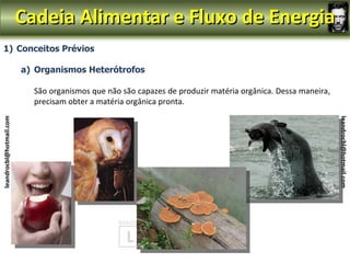 Cadeia Alimentar e Fluxo de Energia
  1) Conceitos Prévios

                         a) Organismos Heterótrofos

                           São organismos que não são capazes de produzir matéria orgânica. Dessa maneira,
                           precisam obter a matéria orgânica pronta.
leandrocbl@hotmail.com




                                                                                                             leandrocbl@hotmail.com
 