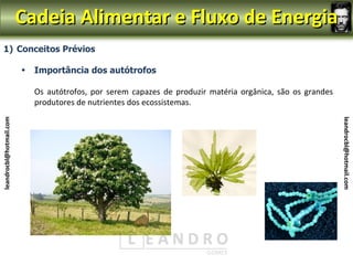 Cadeia Alimentar e Fluxo de Energia
  1) Conceitos Prévios

                         •   Importância dos autótrofos

                             Os autótrofos, por serem capazes de produzir matéria orgânica, são os grandes
                             produtores de nutrientes dos ecossistemas.
leandrocbl@hotmail.com




                                                                                                             leandrocbl@hotmail.com
 