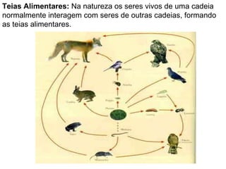 Teias Alimentares:  Na natureza os seres vivos de uma cadeia normalmente interagem com seres de outras cadeias, formando as teias alimentares. 