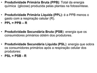Produtividade Primária Bruta (PPB) : Total da energia química  (glicose) produzida pelas plantas na fotossíntese. Produtividade Primária Líquida (PPL):  é a PPB menos o gasto com a respiração celular (R).  PPL = PPB – R Produtividade Secundária Bruta (PSB ): energia que os consumidores primários obtém dos produtores. Produtividade Secundária Líquida (PSL ): energia que sobra os consumidores primários após a respiração celular dos produtores: PSL = PSB - R 