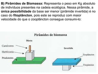B) Pirâmides de Biomassa:  Representa o peso em Kg absoluto de indivíduos presentes na cadeia ecológica. Nessa pirâmide, a  única possibilidade  da base ser menor (pirâmide invertida) é no caso do  fitoplâncton , pois este se reproduz com maior velocidade do que o zooplâncton consegue consumi-lo: 