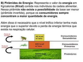 B) Pirâmides de Energia:  Representa o valor da  energia  em Kg/calorias  (K/cal)  contida nos indivíduos da cadeia alimentar. Nessa pirâmide  não existe a possibilidade  da base ser menor (pirâmide invertida), porque os  consumidores sempre concentram a maior quantidade de energia .  Além disso é necessário que o nível trófico inferior tenha mais energia que o superior devido a perda de energia térmica que exista na respiração celular.  