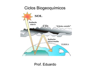 Ciclos Biogeoquímicos  Prof. Eduardo 