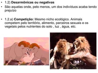 1.2)  Desarmônicas ou negativas São aquelas onde, pelo menos, um dos indivíduos acaba tendo prejuízo 1.2.a)  Competição:  Mesmo nicho ecológico. Animais competem pelo território, alimento, parceiros sexuais e os vegetais pelos nutrientes do solo , luz , água, etc.  