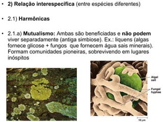 2) Relação interespecífica  (entre espécies diferentes) 2.1)  Harmônicas 2.1.a)  Mutualismo:  Ambas são beneficiadas e  não podem  viver separadamente (antiga simbiose). Ex.: liquens (algas fornece glicose + fungos  que fornecem água sais minerais). Formam comunidades pioneiras, sobrevivendo em lugares inóspitos 