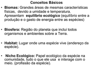 Conceitos Básicos Biomas:  Grandes áreas de mesmas características físicas,  devido a umidade e temperatura.  Apresentam  equilíbrio ecológico  (equilíbrio entre a produção e o gasto de energia entre as espécies) Biosfera:  Região do planeta que inclui todos organismos e ambientes sobre a Terra. Habitat:  Lugar onde uma espécie vive (endereço da espécie). Nicho Ecológico:  Papel ecológico da espécie na comunidade, tudo o que ele usa  e interage com o meio. (profissão da espécie). 