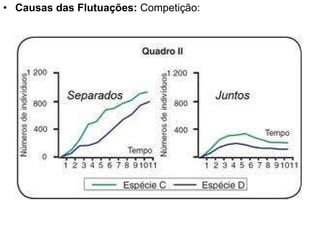 Causas das Flutuações:  Competição: 