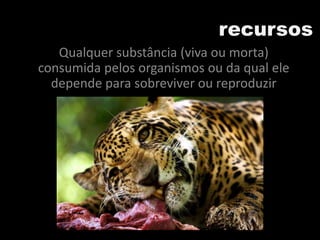 recursos
Qualquer substância (viva ou morta)
consumida pelos organismos ou da qual ele
depende para sobreviver ou reproduzir
 