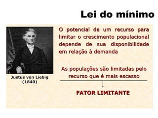 Lei do mínimo
 