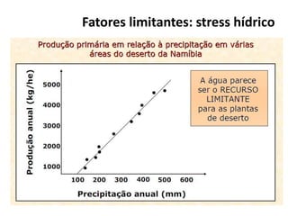 Fatores limitantes: stress hídrico
 