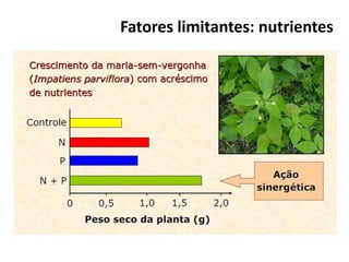 Fatores limitantes: nutrientes
 