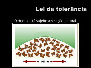 Lei da tolerância
O ótimo está sujeito a seleção natural
 
