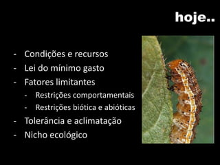 hoje..
- Condições e recursos
- Lei do mínimo gasto
- Fatores limitantes
- Restrições comportamentais
- Restrições biótica e abióticas
- Tolerância e aclimatação
- Nicho ecológico
 