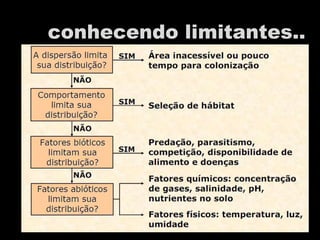 conhecendo limitantes..
 