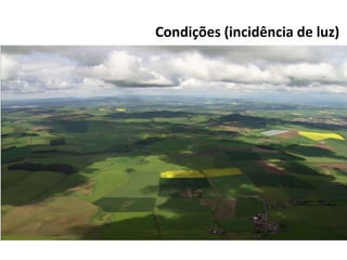 Condições (incidência de luz)
 
