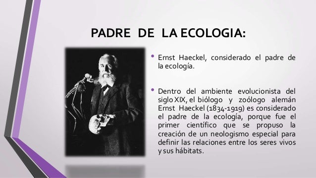 A Quién Se Le Considera El Padre De La Ecología