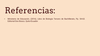 Referencias:
• Ministerio de Educación, (2016), Libro de Biología Tercero de Bachillerato, Pp. 54-63.
Editorial Don Bosco. Quito-Ecuador
 