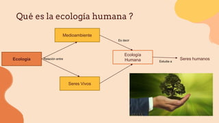 Qué es la ecología humana ?
Ecología
Medioambiente
Seres Vivos
Ecología
Humana Seres humanos
Relación entre
Es decir
Estudia a
 