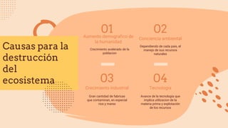 Causas para la
destrucción
del
ecosistema
Conciencia ambiental
02
Tecnologia
04
Aumento demografico de
la humanidad
01
Crecimiento industrial
03
Crecimiento acelerado de la
poblacion
Dependiendo de cada pais, el
manejo de sus recursos
naturales
Gran cantidad de fabricas
que contaminan, en especial
rios y mares
Avance de la tecnología que
implica utilizacion de la
materia prima y explotación
de los recursos
 