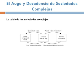El Auge y Decadencia de Sociedades
            Complejas

La caída de las sociedades complejas
 