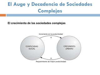 El Auge y Decadencia de Sociedades
            Complejas

El crecimiento de las sociedades complejas
 
