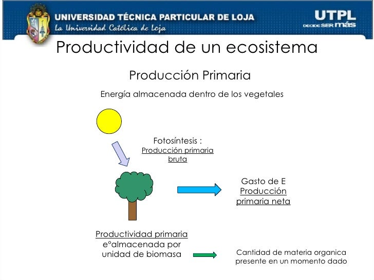 Ecologia I