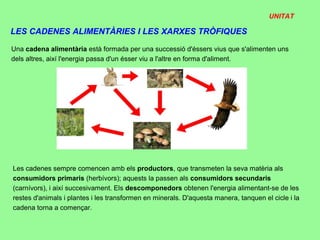 UNITAT

LES CADENES ALIMENTÀRIES I LES XARXES TRÒFIQUES

Una cadena alimentària està formada per una successió d'éssers vius que s'alimenten uns
dels altres, així l'energia passa d'un ésser viu a l'altre en forma d'aliment.




Les cadenes sempre comencen amb els productors, que transmeten la seva matèria als
consumidors primaris (herbívors); aquests la passen als consumidors secundaris
(carnívors), i així succesivament. Els descomponedors obtenen l'energia alimentant-se de les
restes d'animals i plantes i les transformen en minerals. D'aquesta manera, tanquen el cicle i la
cadena torna a començar.
 