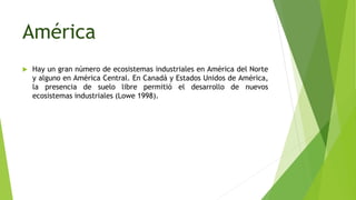 América
 Hay un gran número de ecosistemas industriales en América del Norte
y alguno en América Central. En Canadá y Estados Unidos de América,
la presencia de suelo libre permitió el desarrollo de nuevos
ecosistemas industriales (Lowe 1998).
 