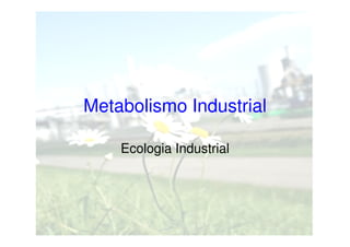 Metabolismo Industrial
Ecologia Industrial

 