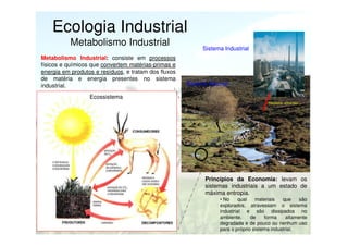 Ecologia Industrial
Metabolismo Industrial
Metabolismo Industrial: consiste em processos
físicos e químicos que convertem matérias-primas e
energia em produtos e resíduos, e tratam dos fluxos
de matéria e energia presentes no sistema
industrial.

Sistema Industrial

Sistema Natural

Ecossistema
Resíduos, efluentes,...

Princípios da Economia: levam os
sistemas industriais a um estado de
máxima entropia.
• No
qual
materiais
que
são
explorados, atravessam o sistema
industrial e são dissipados no
ambiente,
de
forma
altamente
degradada e de pouco ou nenhum uso
para o próprio sistema industrial.

 