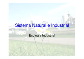 Sistema Natural e Industrial
Ecologia Industrial

 