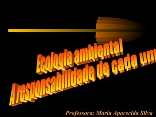 Professora: Maria Aparecida Silva
 