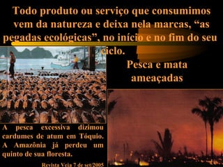 Pesca e mata
ameaçadas
A pesca excessiva dizimou
cardumes de atum em Tóquio.
A Amazônia já perdeu um
quinto de sua floresta.
Revista Veja 7 de set/2005
Todo produto ou serviço que consumimos
vem da natureza e deixa nela marcas, “as
pegadas ecológicas”, no início e no fim do seu
ciclo.
 