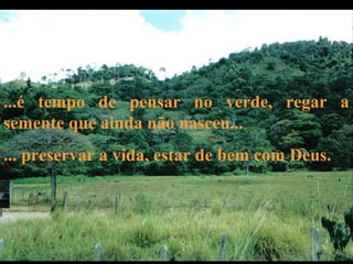 ...é tempo de pensar no verde, regar a
semente que ainda não nasceu...
... preservar a vida, estar de bem com Deus.
 