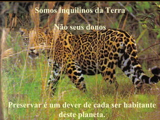 Preservar é um dever de cada ser habitante
deste planeta.
Somos inquilinos da Terra
Não seus donos
 